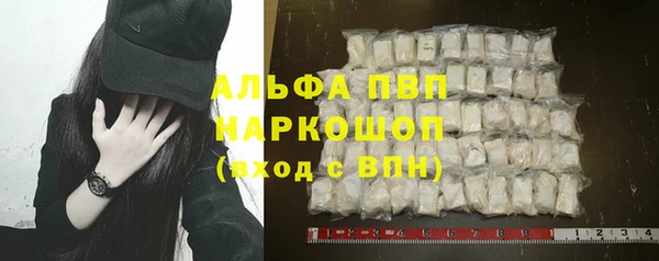 спиды Ростов