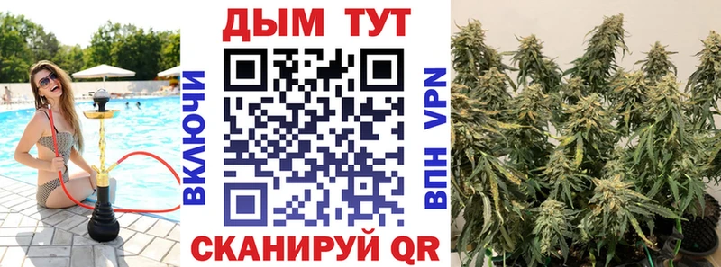 Бошки марихуана марихуана  Задонск 